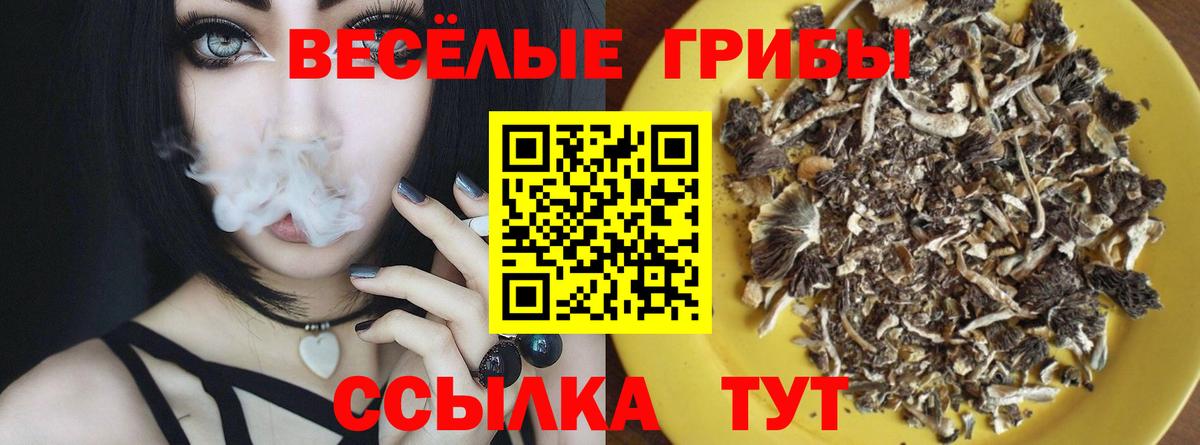 Ногинск  Псилоцибиновые грибы ЛСД  Вход с VPN  купить наркотики цена  Галлюциногенные грибы Psilocybine cubensis 