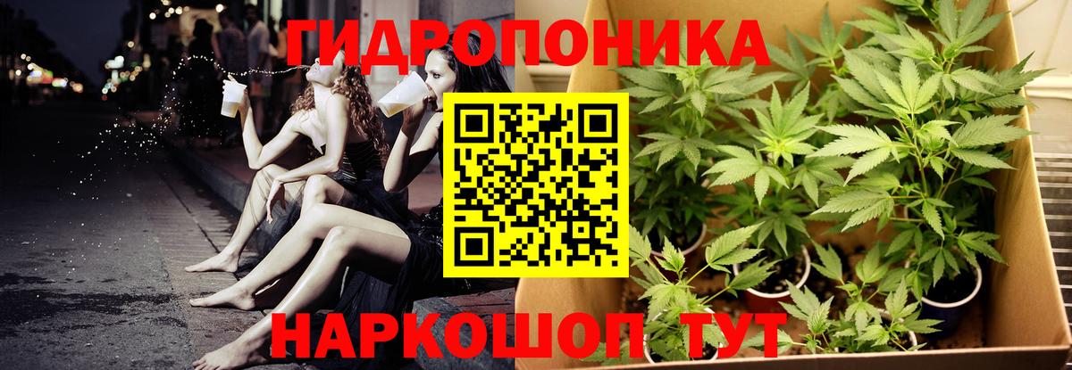 Конопля план  Каннабис AK-47  Ногинск  Вход с VPN  Бошки Шишки LSD WEED  Шишки марихуана тримм 